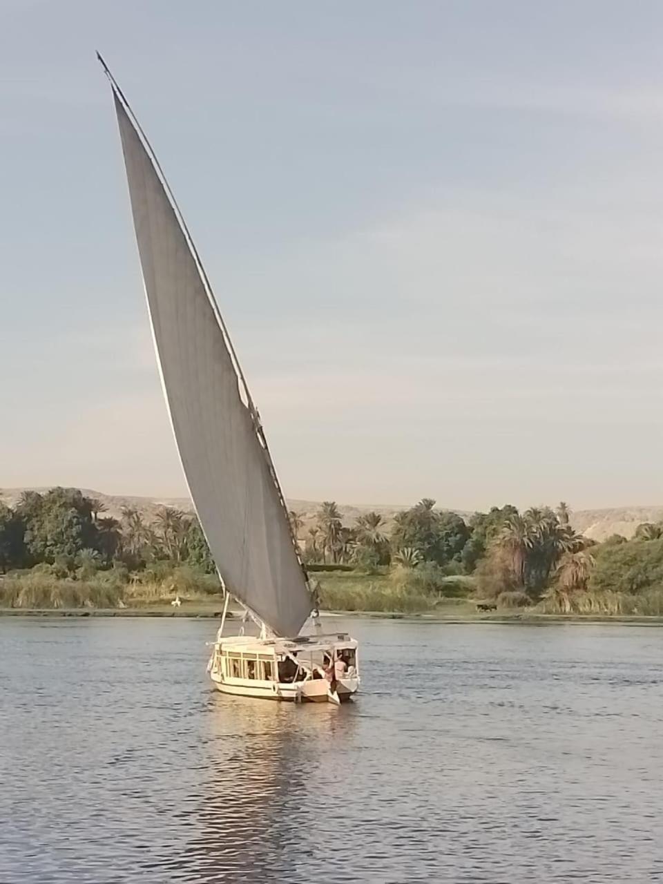Nile Felucca Adventure Ξενοδοχείο Ασουάν Εξωτερικό φωτογραφία